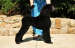 EMETTO 5,5 month of age